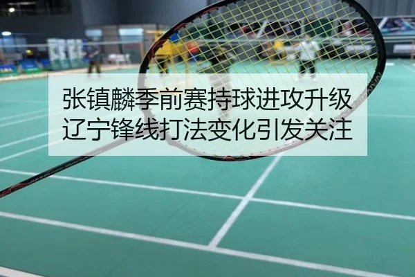 张镇麟季前赛持球进攻升级 辽宁锋线打法变化引发关注