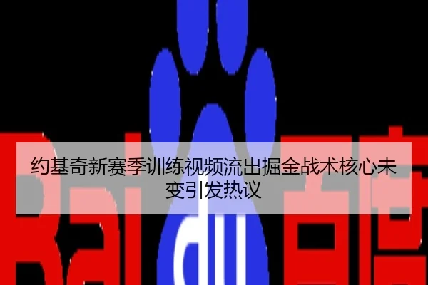约基奇新赛季训练视频流出掘金战术核心未变引发热议